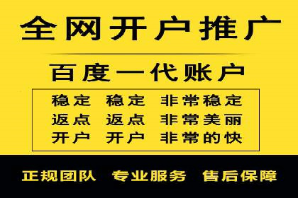 短视频平台的SEM推广实践与效果